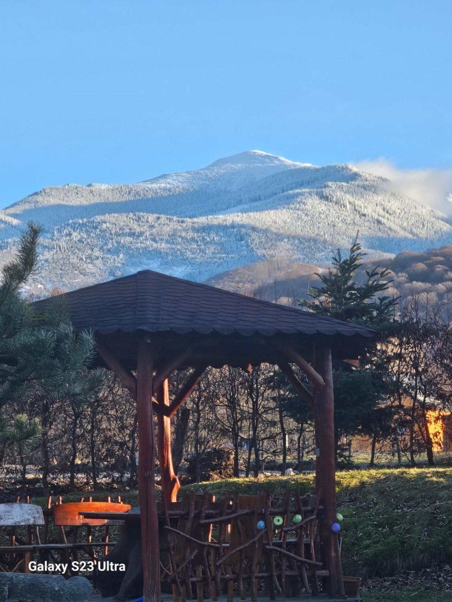 Casa De Vacanta Marin Arpasu de Sus Bagian luar foto