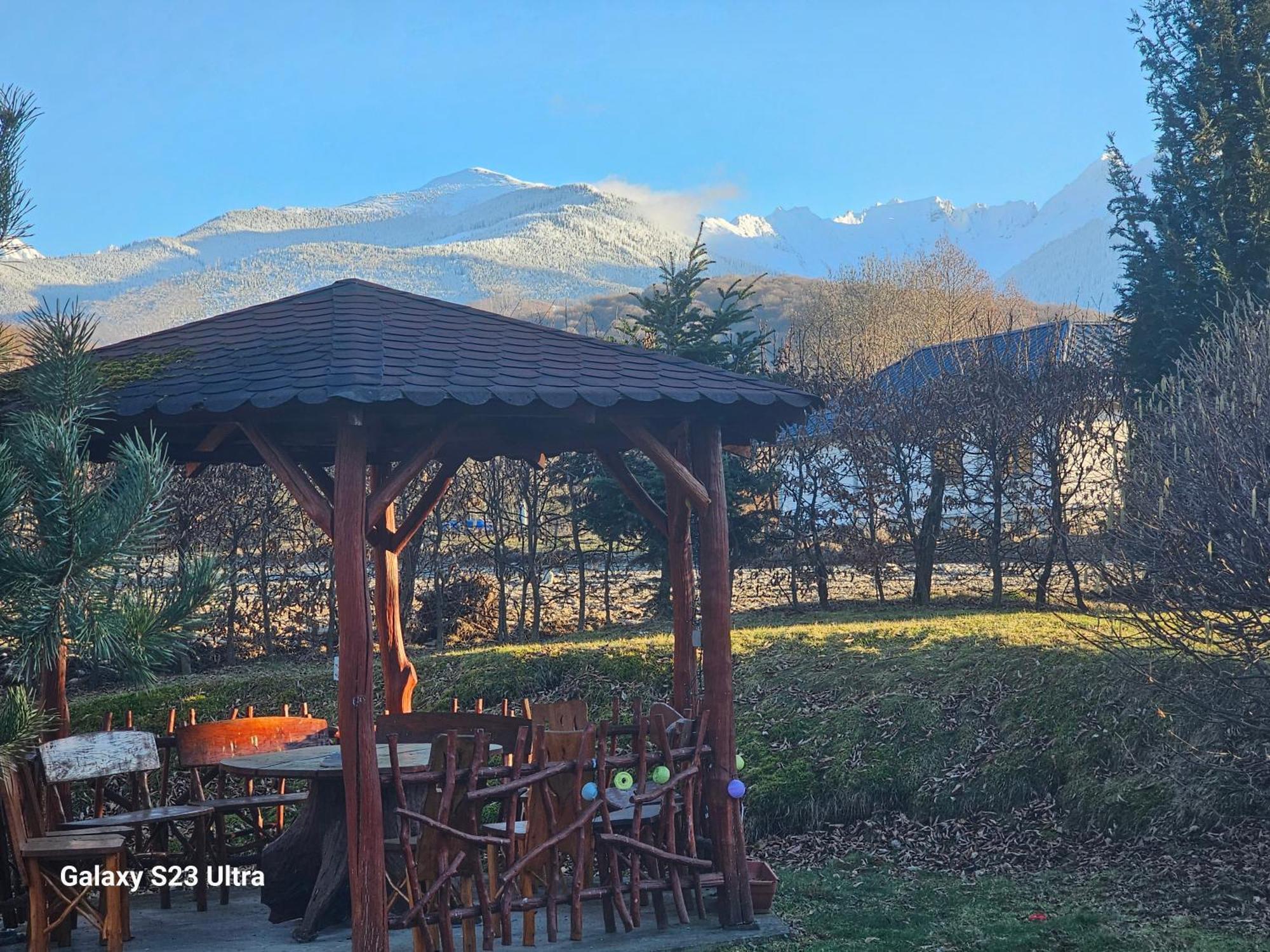 Casa De Vacanta Marin Arpasu de Sus Bagian luar foto