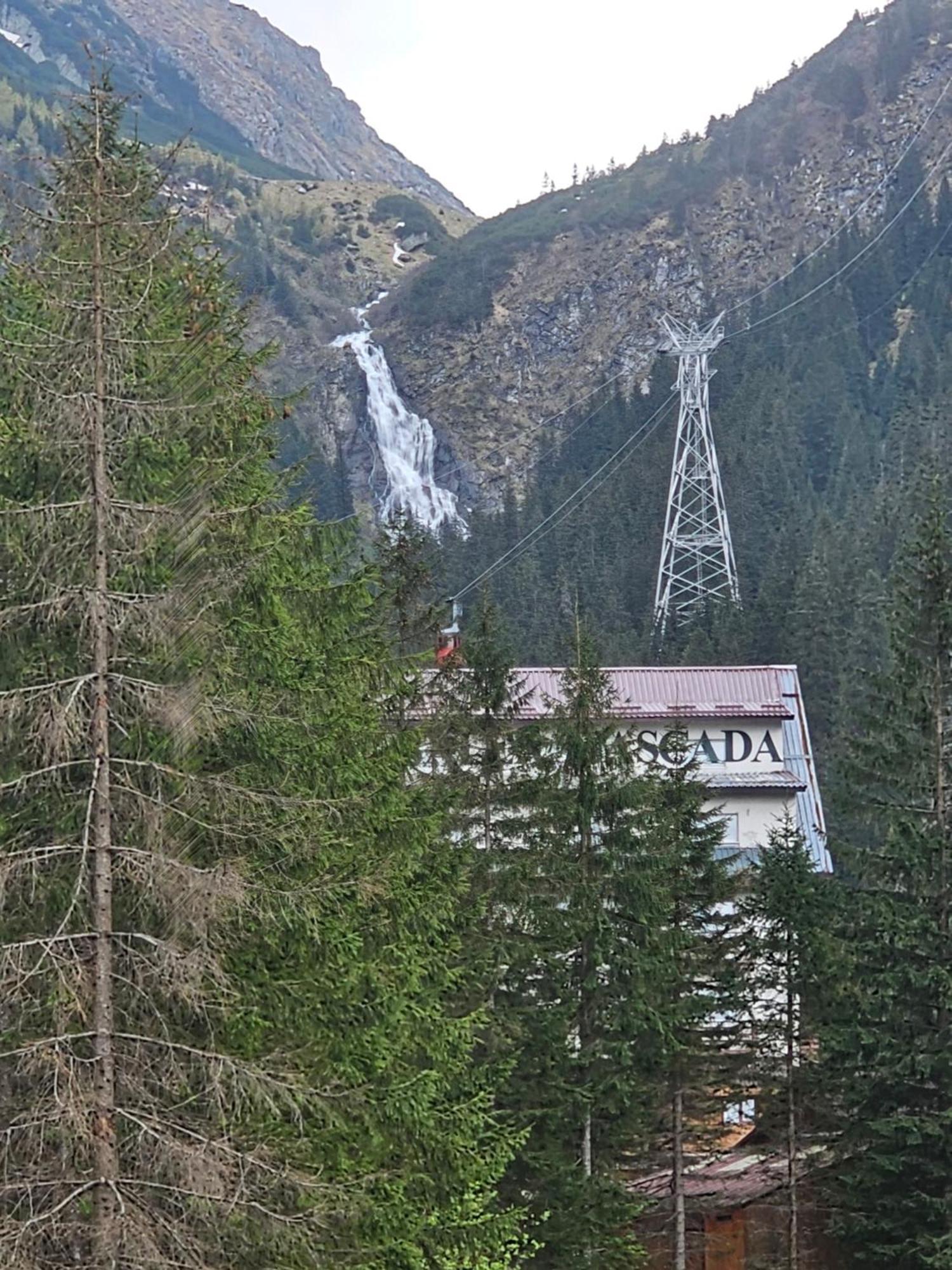 Casa De Vacanta Marin Arpasu de Sus Bagian luar foto