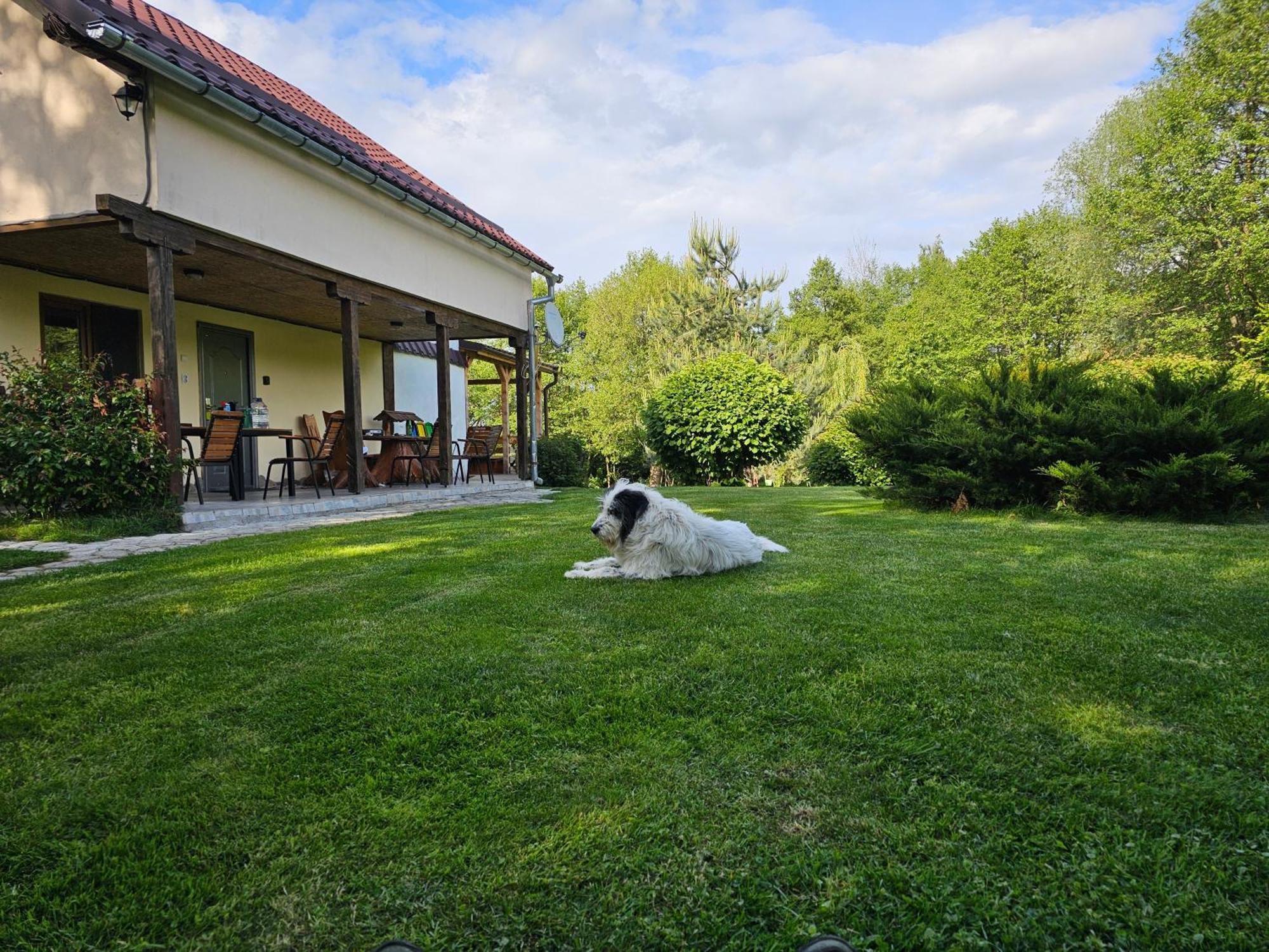 Casa De Vacanta Marin Arpasu de Sus Bagian luar foto