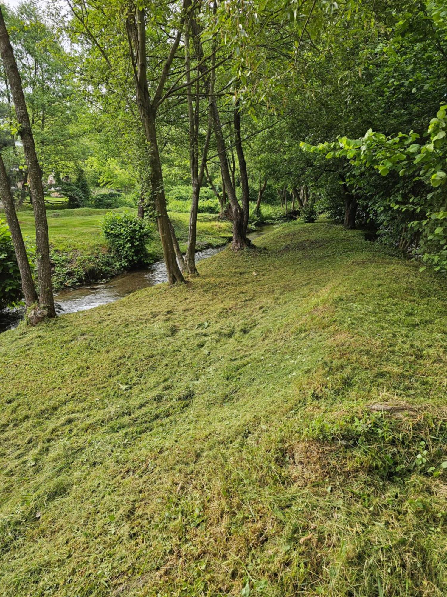 Casa De Vacanta Marin Arpasu de Sus Bagian luar foto