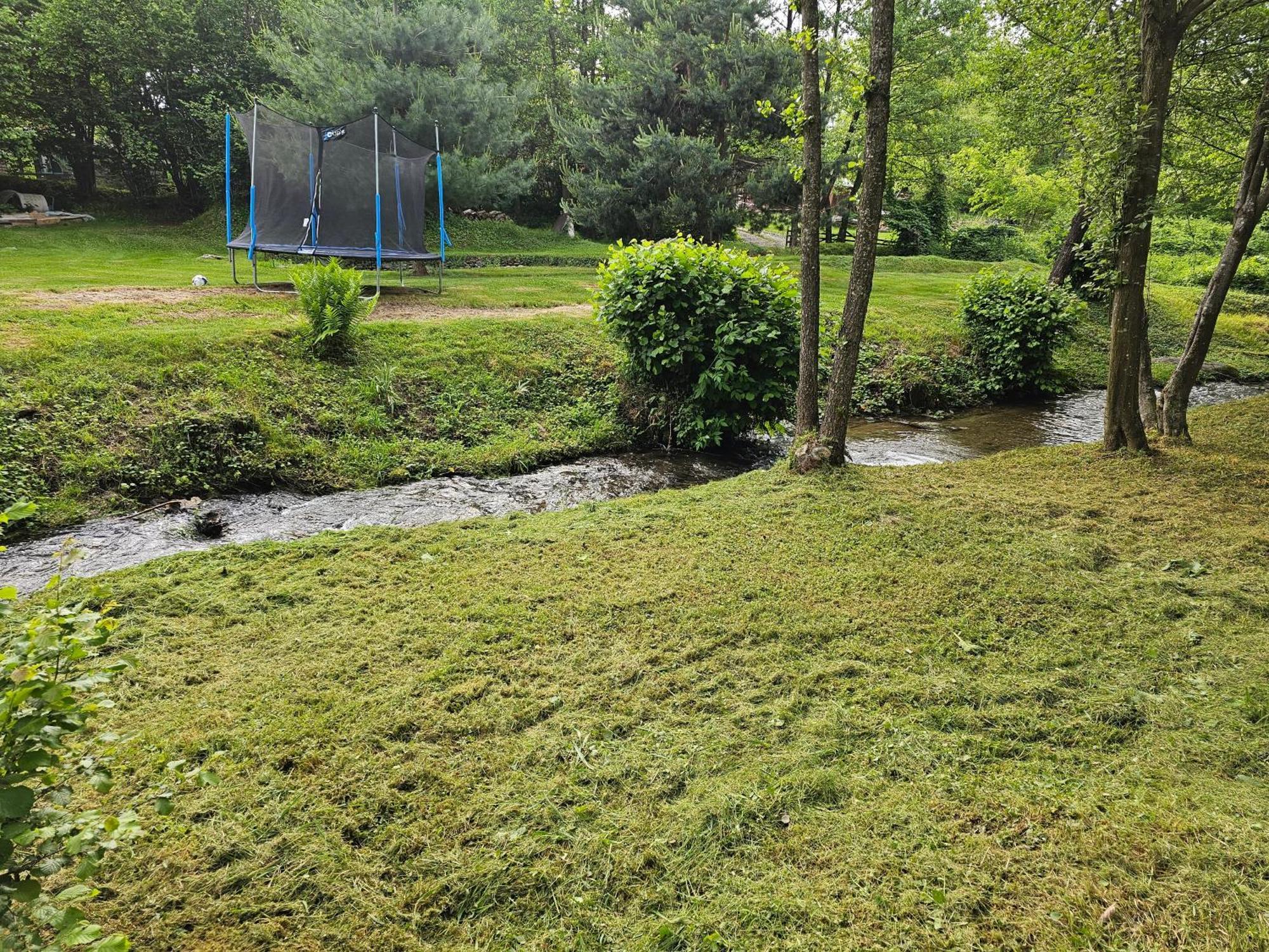 Casa De Vacanta Marin Arpasu de Sus Bagian luar foto