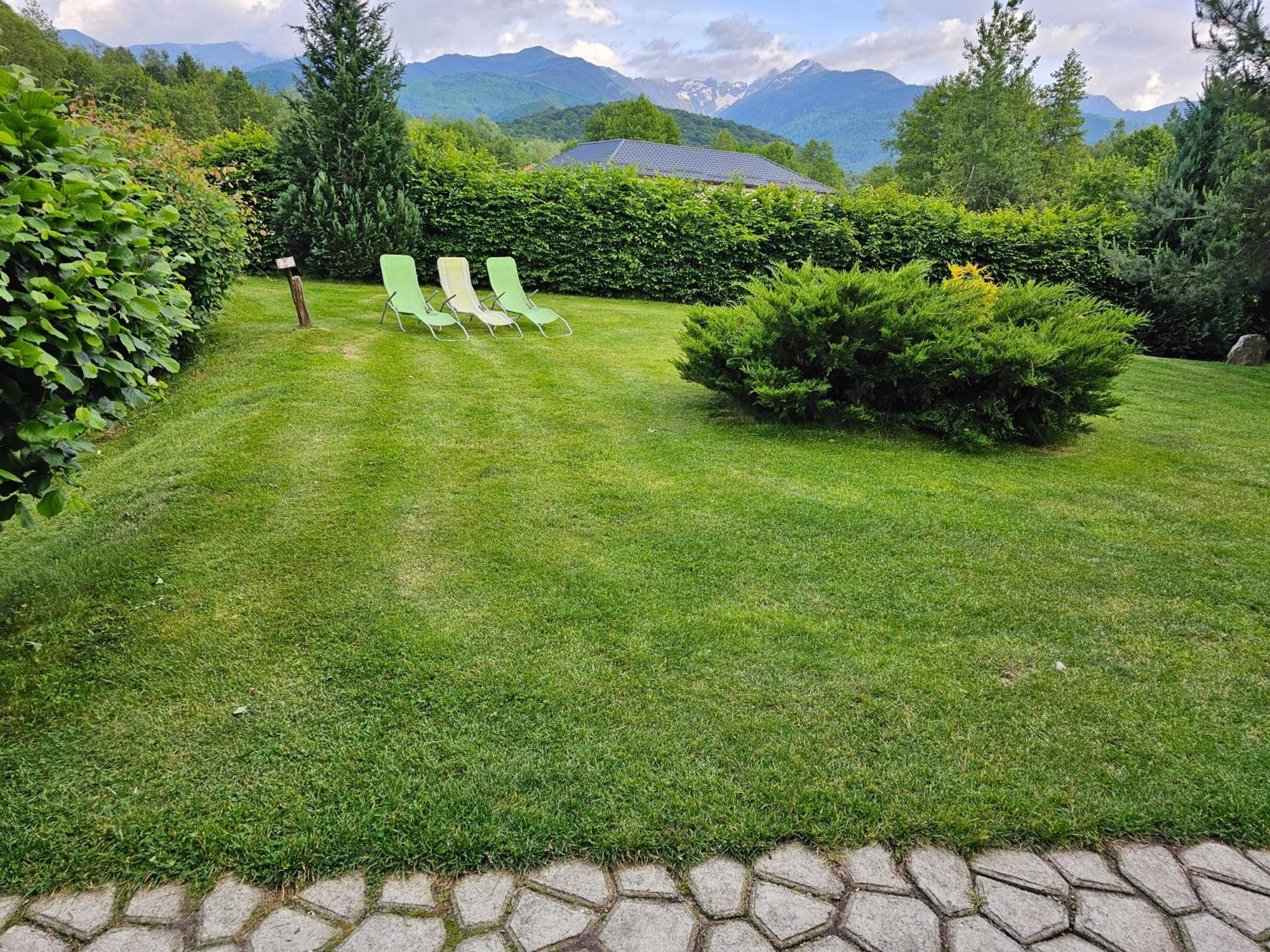 Casa De Vacanta Marin Arpasu de Sus Bagian luar foto