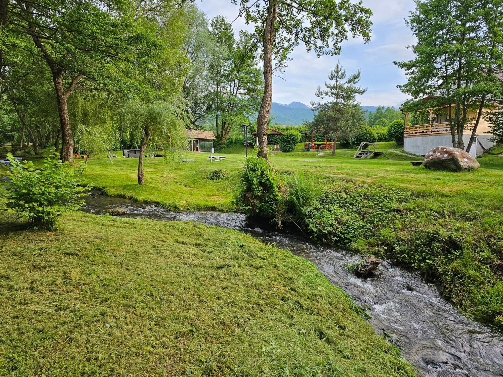 Casa De Vacanta Marin Arpasu de Sus Bagian luar foto