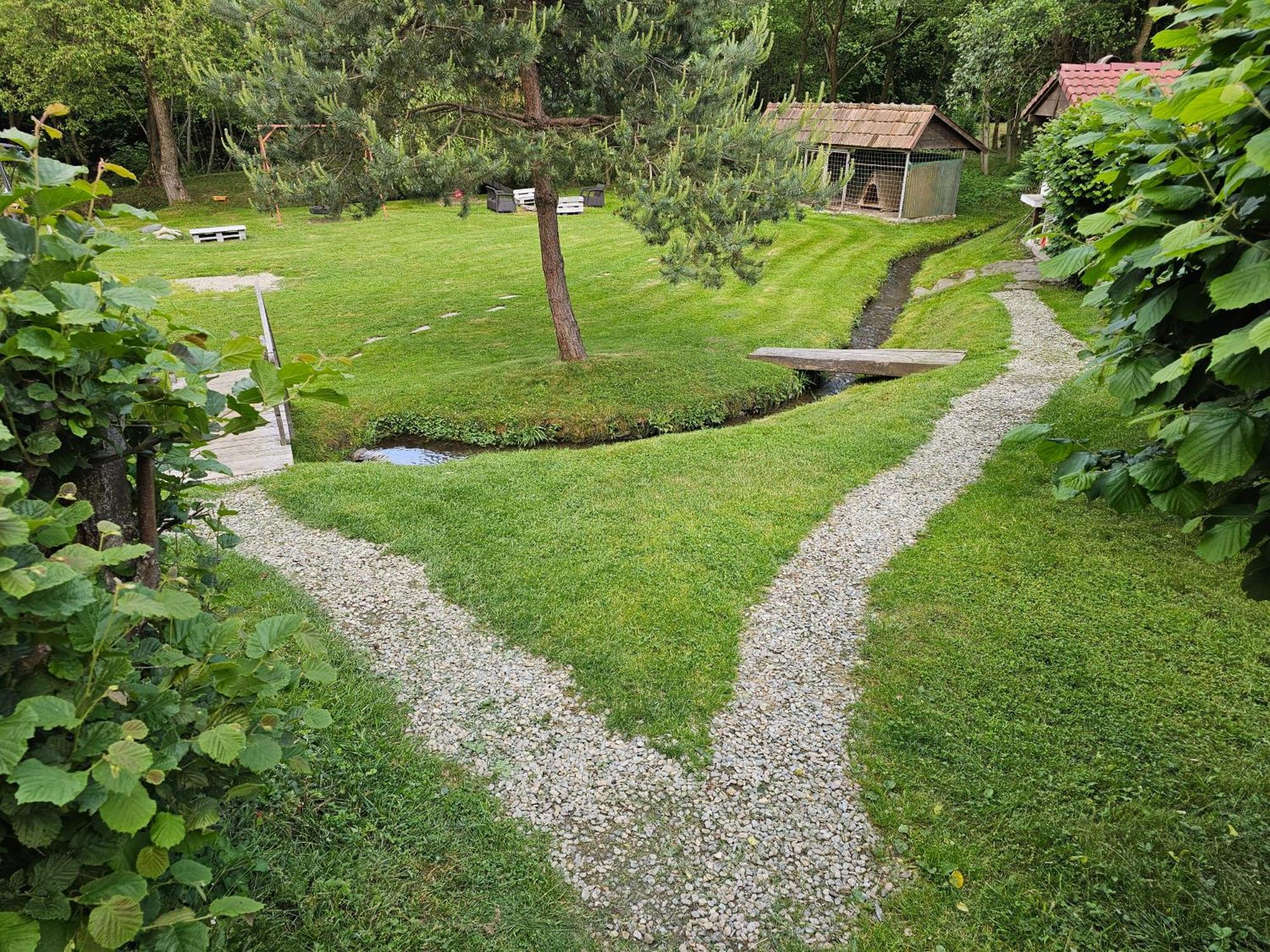 Casa De Vacanta Marin Arpasu de Sus Bagian luar foto