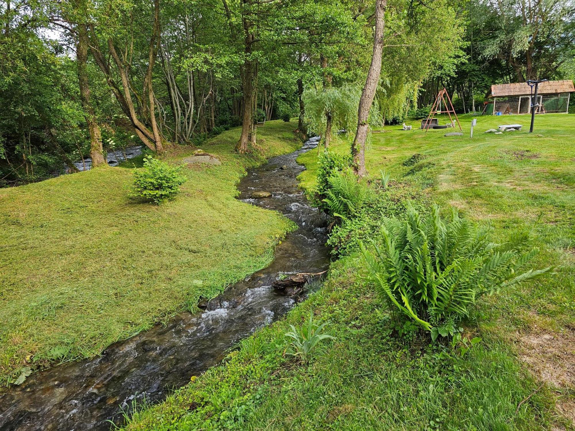 Casa De Vacanta Marin Arpasu de Sus Bagian luar foto