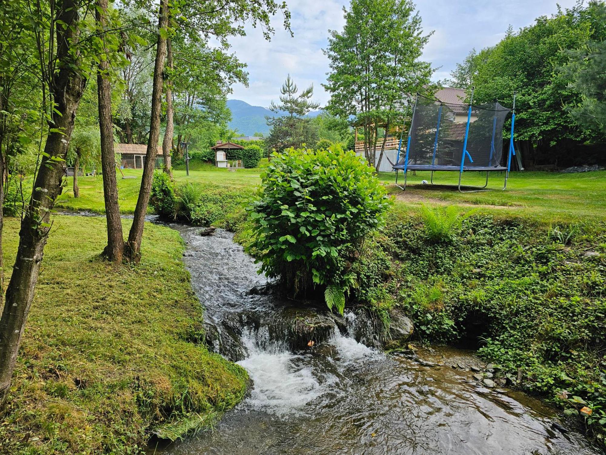 Casa De Vacanta Marin Arpasu de Sus Bagian luar foto