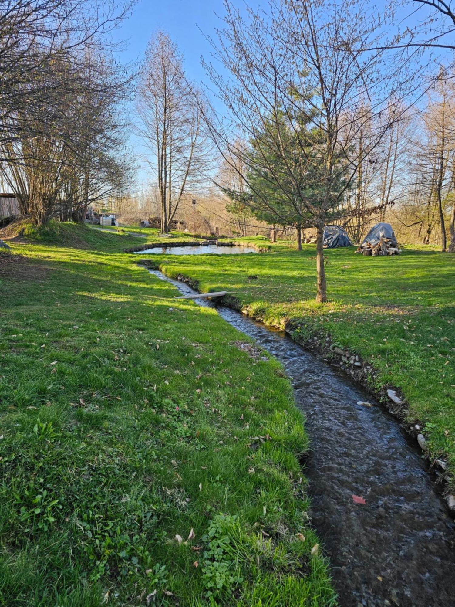 Casa De Vacanta Marin Arpasu de Sus Bagian luar foto