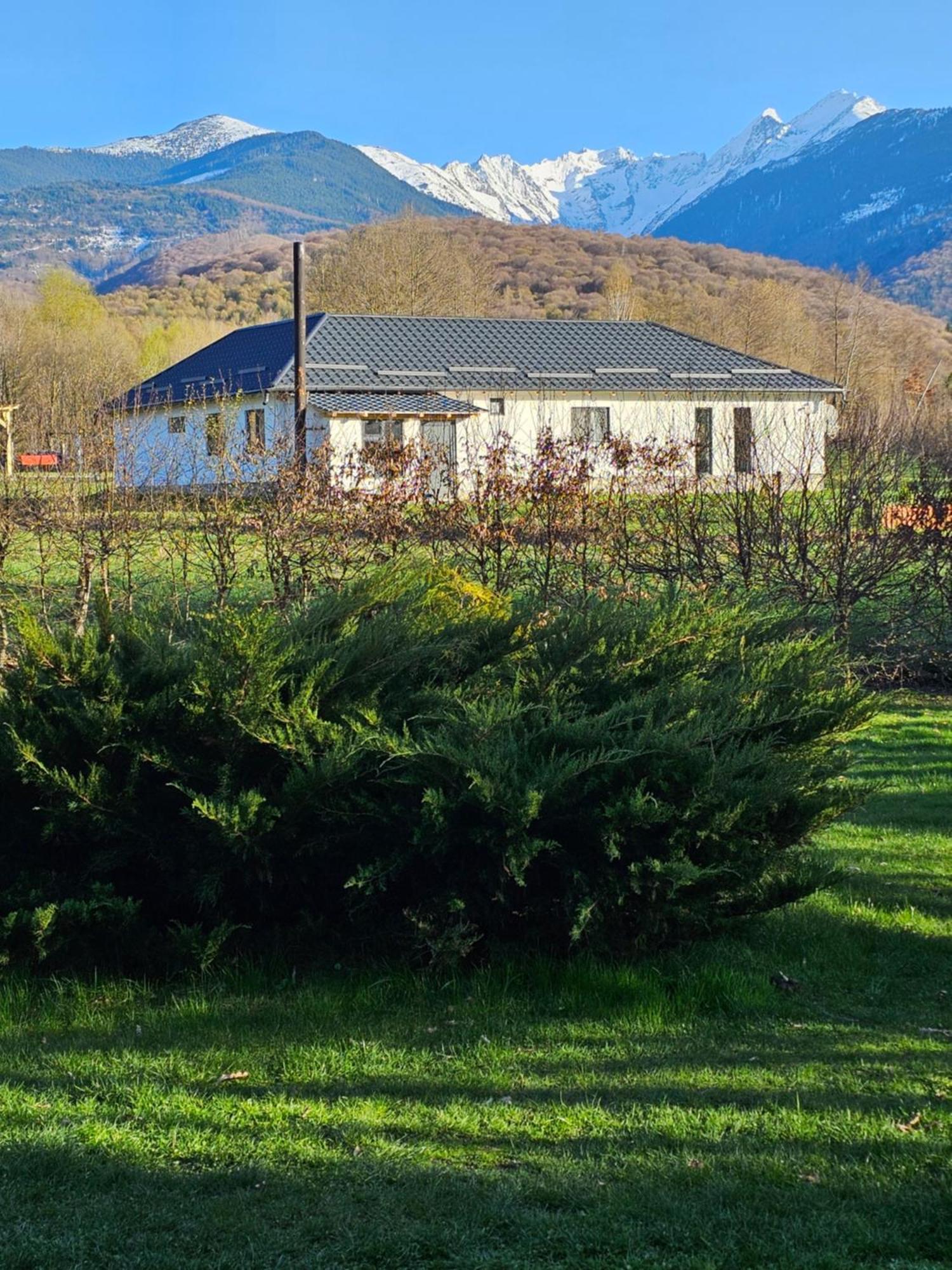 Casa De Vacanta Marin Arpasu de Sus Bagian luar foto